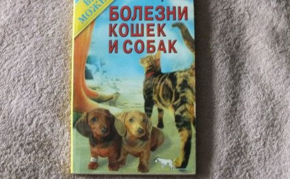 Книга Болезни кошек и собак