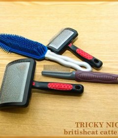 hair_comb