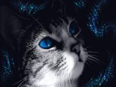 Серая Кошка с Голубыми Глазами